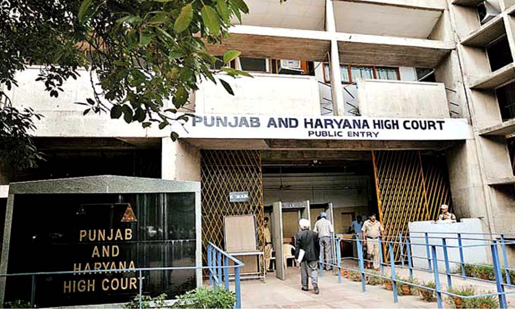 Punjab & Haryana High Court Grants Interim Relief in Defamation Case