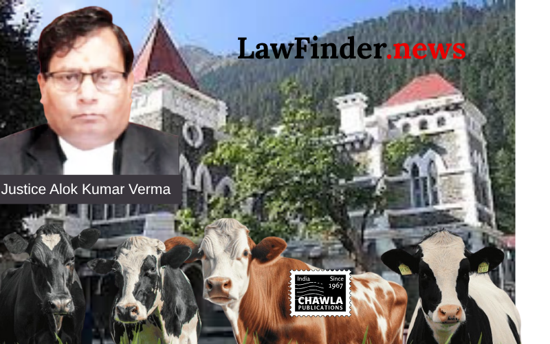 Uttarakhand High Court Grants Anticipatory Bail in Cow Slaughter Case