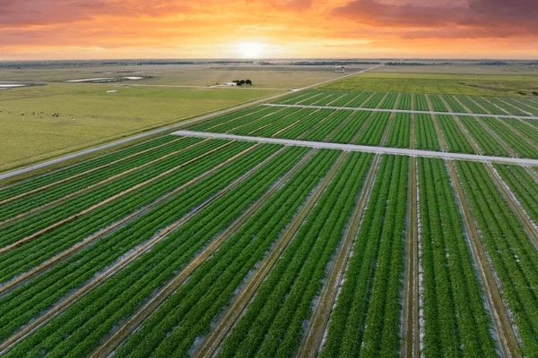 Jamabandi - A Document Of Title