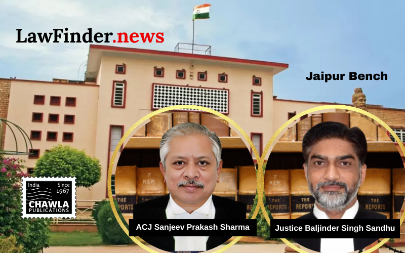 Rajasthan High Court Declares Babu Lal Meena a Vexatious Litigant