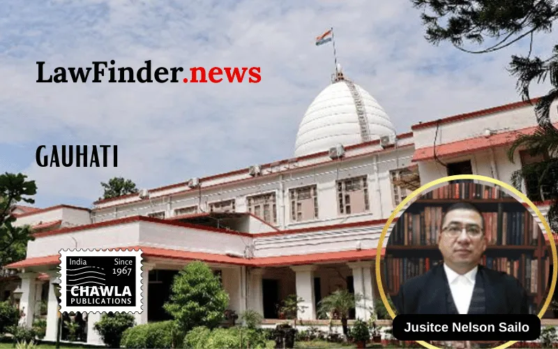 Gauhati High Court Rules Against Unauthorized Actions by NGOs Under Mizoram Liquor Prohibition Act